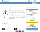 What Makes our Bones Strong?