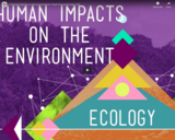 5 Human Impacts on the Environment: Crash Course Ecology #10