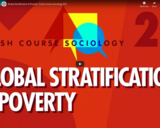 Global Stratification & Poverty: Crash Course Sociology #27