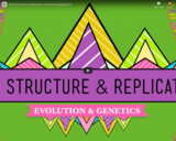 DNA Structure and Replication: Crash Course Biology #10