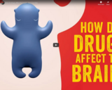 TED Ed - How do drugs affect the brain? - Sara Garofalo