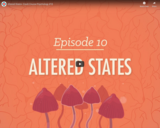 Altered States - Crash Course Psychology #10