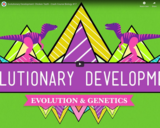 Evolutionary Development: Chicken Teeth - Crash Course Biology #17