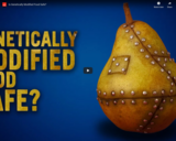 WSF - Is Genetically Modified Food Safe?