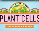 Plant Cells: Crash Course Biology #6