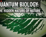 WSF - Quantum Biology: The Hidden Nature of Nature