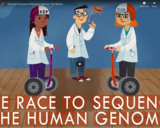 TED Ed - The race to sequence the human genome - Tien Nguyen