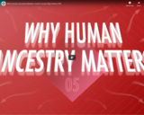 Why Human Ancestry Matters: Crash Course Big History 205