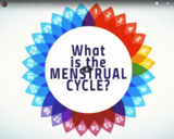 TED Ed - How menstruation works - Emma Bryce