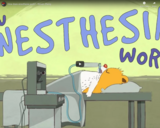 TED Ed - How does anesthesia work? - Steven Zheng