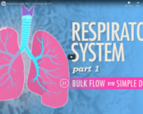 Respiratory System, part 1: Crash Course A&P #31