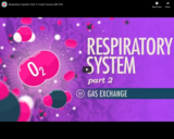 Respiratory System, part 2: Crash Course A&P #32