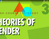 Theories of Gender: Crash Course Sociology #33