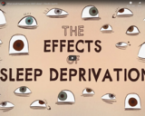 TED Ed - What would happen if you didnÃ¢â‚¬â„¢t sleep? - Claudia Aguirre