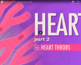 The Heart, part 2 - Heart Throbs: Crash Course A&P #26