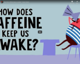 TED Ed - How does caffeine keep us awake? - Hanan Qasim