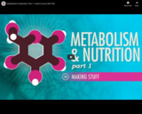 Metabolism & Nutrition, part 1: Crash Course A&P #36