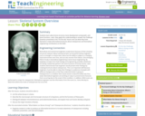 Skeletal System Overview