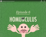 Homunculus - Crash Course Psychology #6