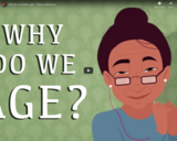 TED Ed - Why do our bodies age? - Monica Menesini