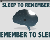 TED Ed - The benefits of a good night's sleep - Shai Marcu