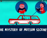 TED Ed - The mystery of motion sickness - Rose Eveleth