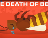 The Death Of Bees Explained - Parasites, Poison and Humans