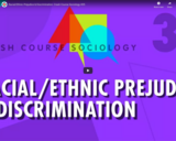Racial/Ethnic Prejudice & Discrimination: Crash Course Sociology #35