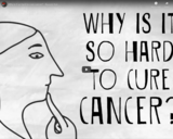 TED Ed - Why is it so hard to cure cancer? - Kyuson Yun