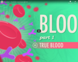 Blood, Part 1 - True Blood: Crash Course A&P #29