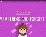 Remembering and Forgetting - Crash Course Psychology #14