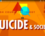 Ãƒâ€°mile Durkheim on Suicide & Society: Crash Course Sociology #5