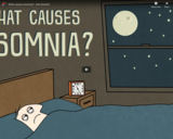 TED Ed - What causes insomnia? - Dan Kwartler