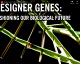 WSF - Designer Genes: Fashioning our Biological Future