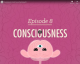 Consciousness - Crash Course Psychology #8