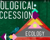 Ecological Succession: Change is Good - Crash Course Ecology #6