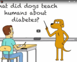 TED Ed - What did dogs teach humans about diabetes? - Duncan C. Ferguson