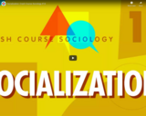 Socialization: Crash Course Sociology #14