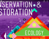 Conservation and Restoration Ecology: Crash Course Ecology #12