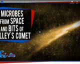 SciShow Space -Microbes From Space and Bits of Halley's Comet