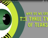 TED Ed - Why do we cry? The three types of tears - Alex Gendler