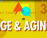 Age & Aging: Crash Course Sociology #36