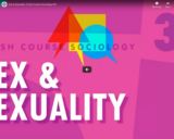 Sex & Sexuality: Crash Course Sociology #31