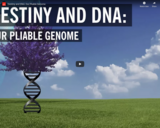 WSF - Destiny and DNA: Our Pliable Genome