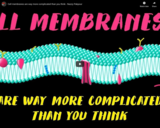 TED Ed - Cell membranes are way more complicated than you think - Nazzy Pakpour