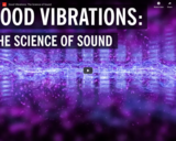 WSF - Good Vibrations: The Science of Sound