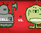 TED Ed - Cell vs. virus: A battle for health - Shannon Stiles