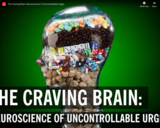 WSF - The Craving Brain: Neuroscience of Uncontrollable Urges