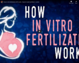 TED Ed - How in vitro fertilization (IVF) works - Nassim Assefi and Brian A. Levine