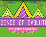 Evolution: It's a Thing - Crash Course Biology #20